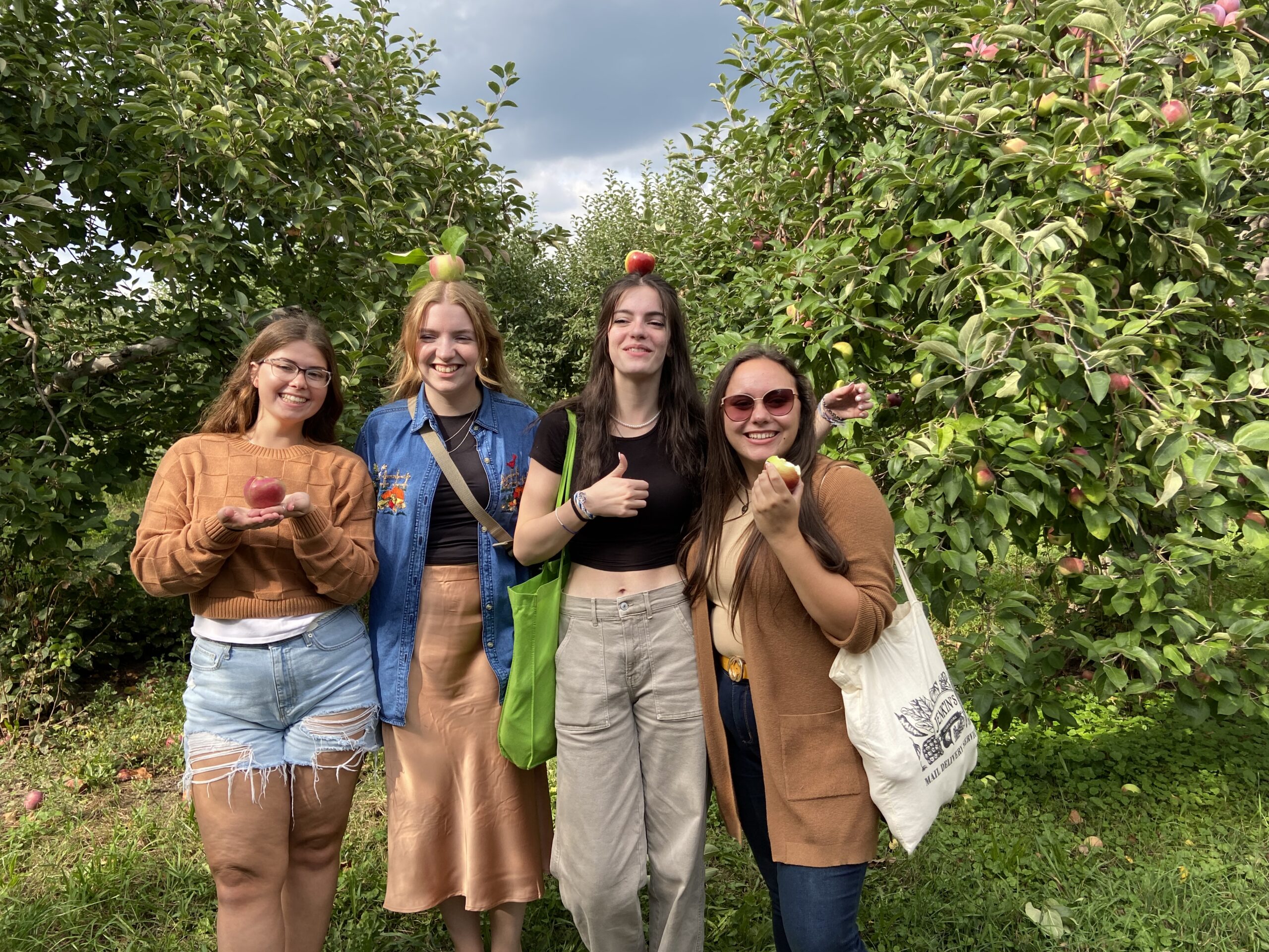 Apple Picking